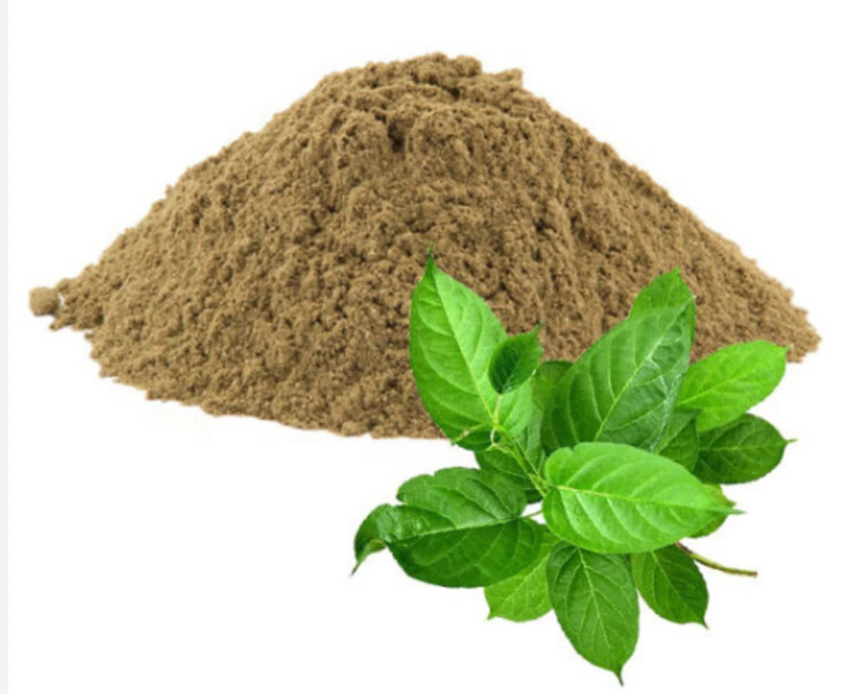 Gurmar ( Gymnema Sylvestre) Powder